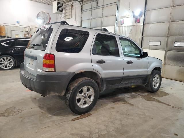 2005 Ford Escape XLT