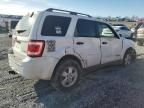 2008 Ford Escape XLT