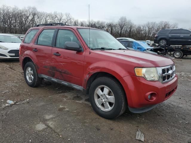 2011 Ford Escape XLS