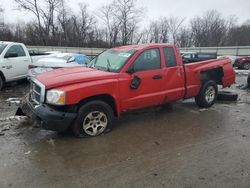 Salvage cars for sale from Copart Ellwood City, PA: 2005 Dodge Dakota SLT