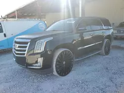 Salvage cars for sale at Homestead, FL auction: 2016 Cadillac Escalade Luxury