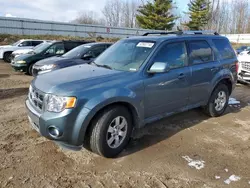 Salvage cars for sale at Davison, MI auction: 2011 Ford Escape Limited