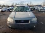 2007 Ford Escape XLT