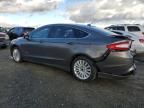 2014 Ford Fusion Titanium Phev