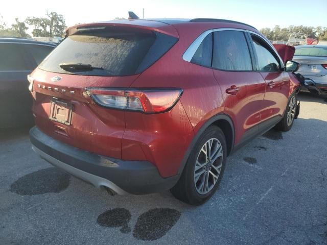 2021 Ford Escape SEL