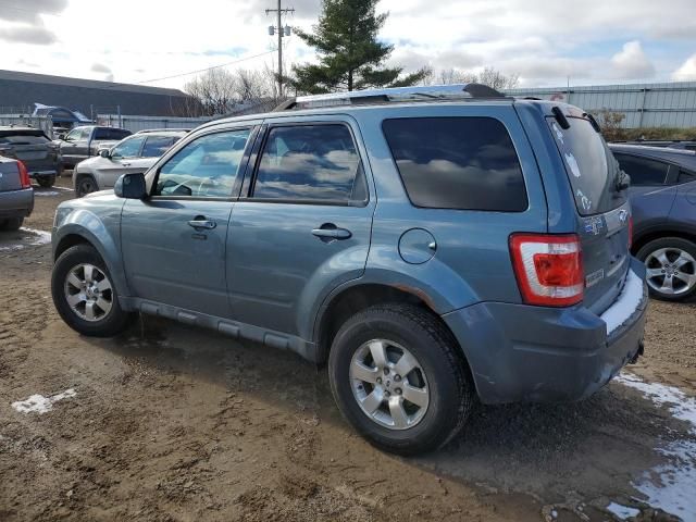 2011 Ford Escape Limited