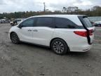 2024 Honda Odyssey EXL