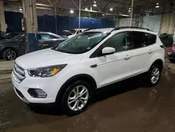 Salvage cars for sale at Woodhaven, MI auction: 2018 Ford Escape SE