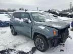 2015 Jeep Renegade Trailhawk