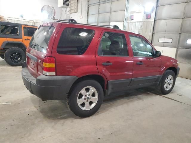 2007 Ford Escape XLT