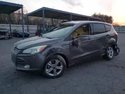 Ford Vehiculos salvage en venta: 2013 Ford Escape SE