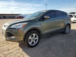 2013 Ford Escape SE en venta en Andrews, TX