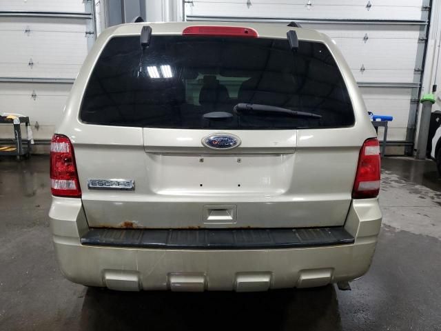 2010 Ford Escape XLT