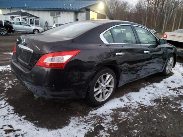 2010 Nissan Maxima S