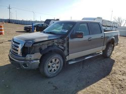 Salvage cars for sale at Greenwood, NE auction: 2009 Ford F150 Supercrew