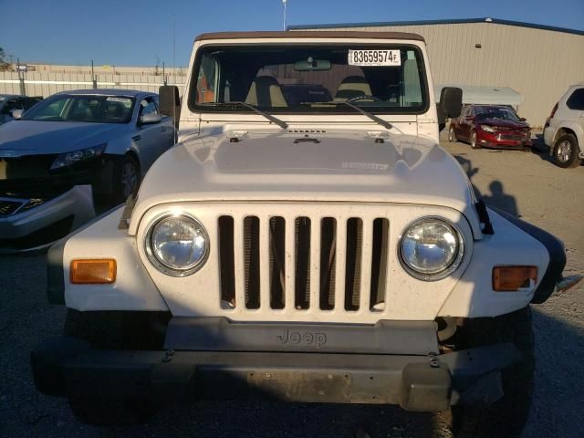 2002 Jeep Wrangler / TJ SE