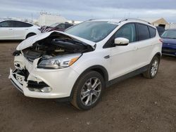 Salvage cars for sale at Brighton, CO auction: 2014 Ford Escape Titanium