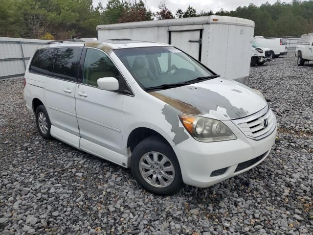 2009 Honda Odyssey EXL