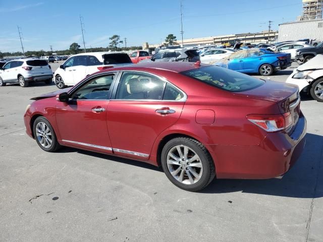 2011 Lexus ES 350