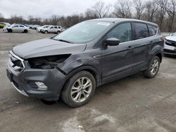 Salvage cars for sale at Ellwood City, PA auction: 2017 Ford Escape SE