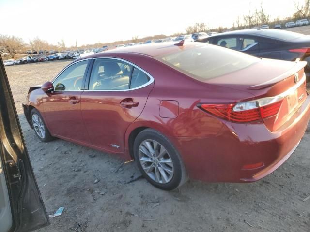 2013 Lexus ES 300H