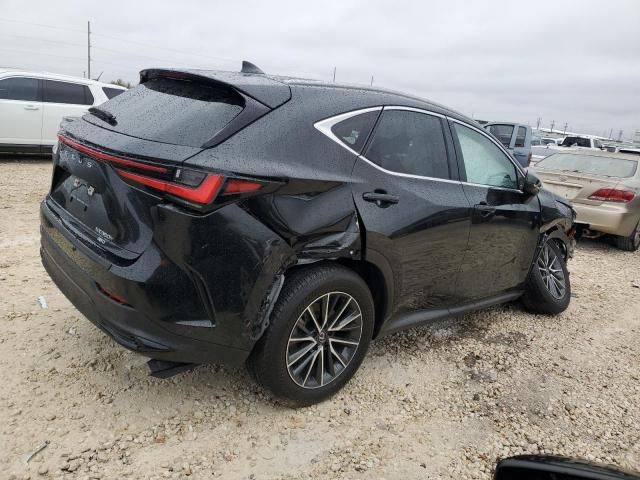 2024 Lexus NX 350H Base