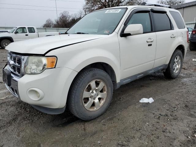 2011 Ford Escape Limited