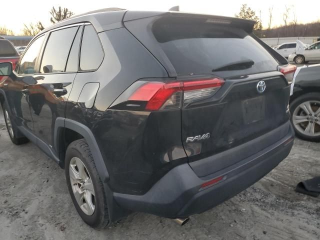 2019 Toyota Rav4 LE