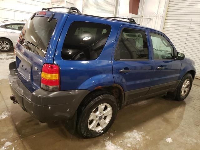 2007 Ford Escape XLT