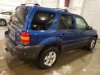 2007 Ford Escape XLT