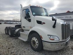 Peterbilt 579 Vehiculos salvage en venta: 2016 Peterbilt 579