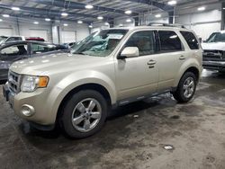 2012 Ford Escape Limited en venta en Ham Lake, MN