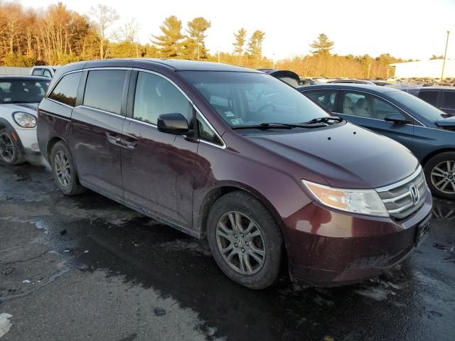 2013 Honda Odyssey EXL