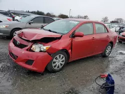 Toyota salvage cars for sale: 2010 Toyota Corolla Base