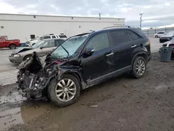 2011 KIA Sorento EX en venta en Farr West, UT