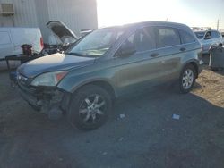 Salvage cars for sale at Tucson, AZ auction: 2008 Honda CR-V EX