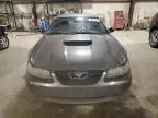 2003 Ford Mustang