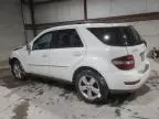 2009 Mercedes-Benz ML 350