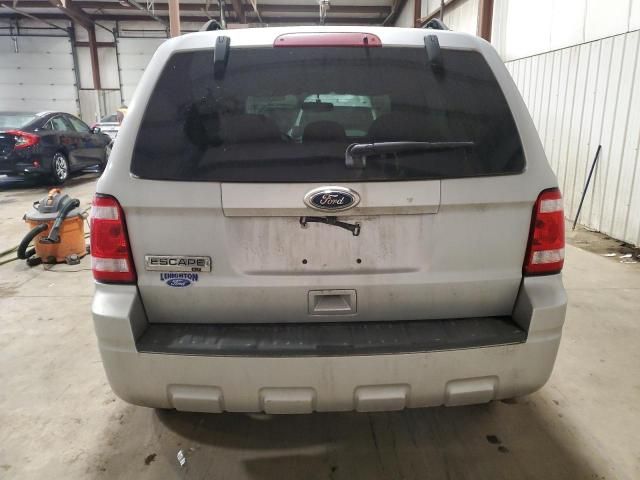 2010 Ford Escape XLT