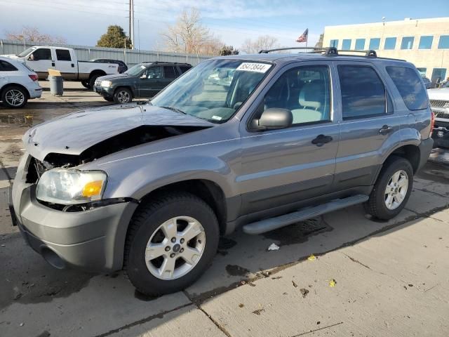 2007 Ford Escape XLT