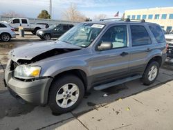 Salvage cars for sale at Littleton, CO auction: 2007 Ford Escape XLT