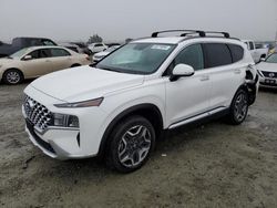 Salvage Cars with No Bids Yet For Sale at auction: 2023 Hyundai Santa FE SEL