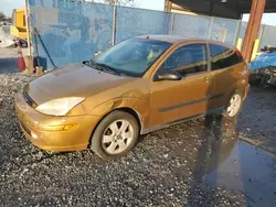 2001 Ford Focus ZX3 en venta en Riverview, FL