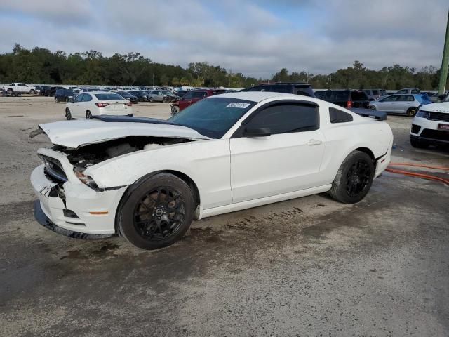 2013 Ford Mustang