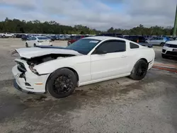 Vehiculos salvage en venta de Copart Apopka, FL: 2013 Ford Mustang