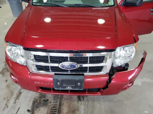 2008 Ford Escape XLT