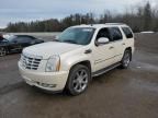 2009 Cadillac Escalade Hybrid