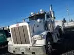 2019 Peterbilt 389