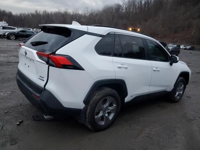 2024 Toyota Rav4 XLE