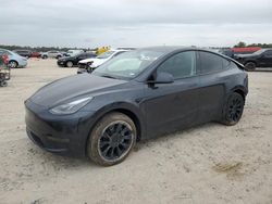 Salvage cars for sale at Houston, TX auction: 2024 Tesla Model Y